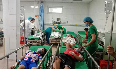 16 em học sinh nhập viện vì bị ong đốt trong giờ ra chơi
